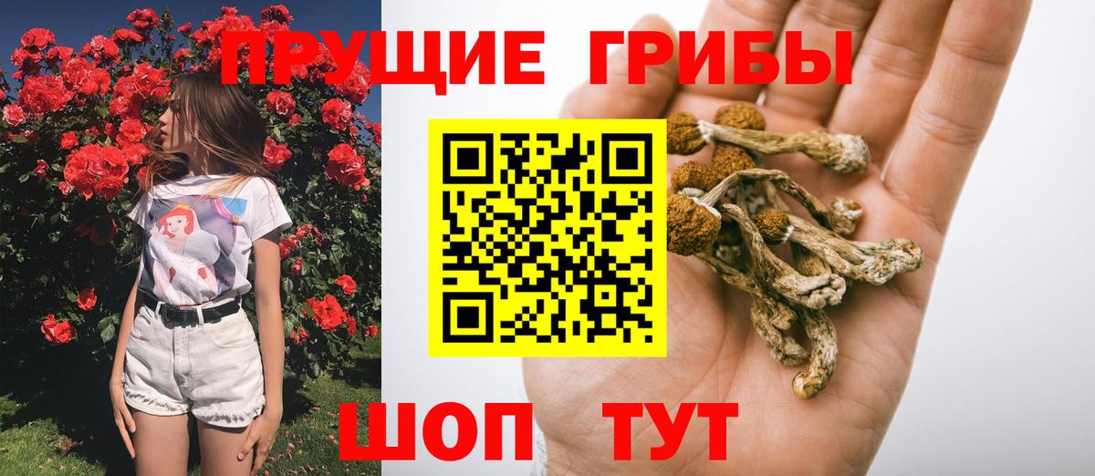 Стрежевой  Псилоцибиновые грибы Cubensis  Галлюциногенные грибы MAGIC MUSHROOMS  Вход с VPN 